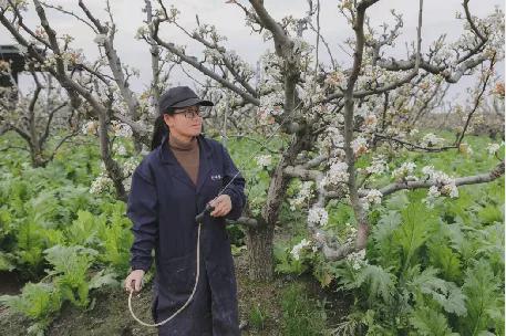 新農村創業_農村創業項目有哪些_農村創業故事