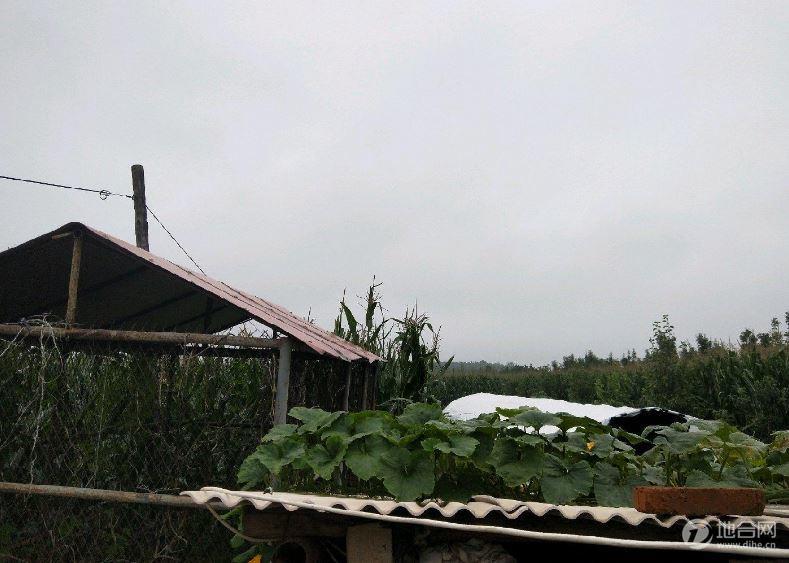 2萬元能投資什么能賺錢_未來免費干加盟賺錢_干啥能賺錢