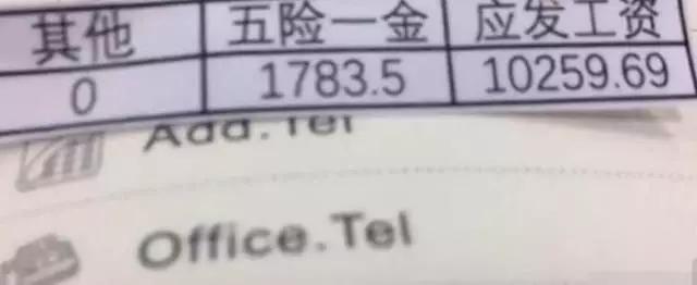 干啥能賺錢_15年零成本干加盟賺錢_打啥游戲能賺錢如何靠打游戲賺錢